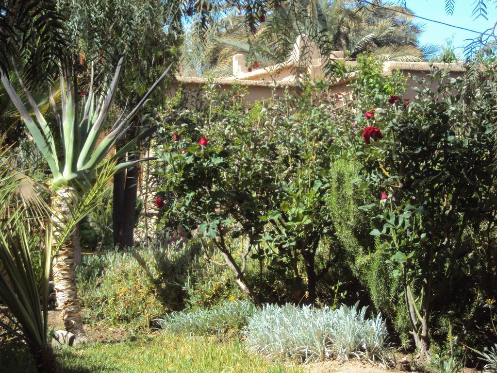 Bed and Breakfast Dar Lorkam Skoura Zewnętrze zdjęcie
