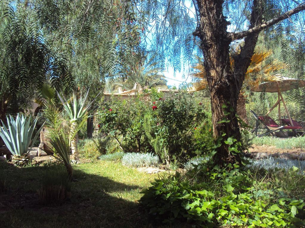Bed and Breakfast Dar Lorkam Skoura Zewnętrze zdjęcie