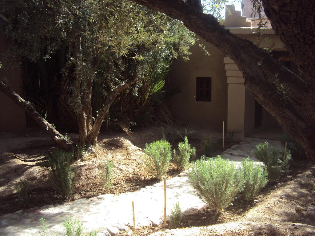 Bed and Breakfast Dar Lorkam Skoura Zewnętrze zdjęcie